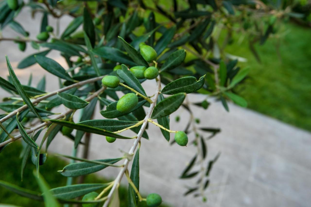 Olive 102 Leilighet Peraía Eksteriør bilde