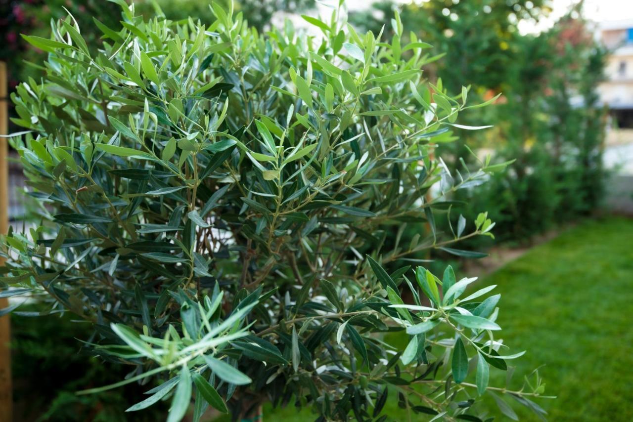 Olive 102 Leilighet Peraía Eksteriør bilde